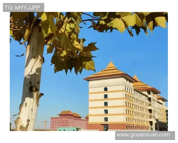 深圳排球队的崛起之路：从默默无闻到联赛强队的成长历程