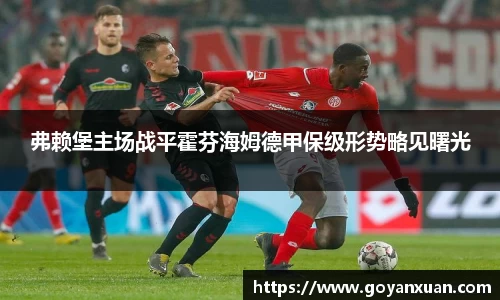 弗赖堡主场战平霍芬海姆德甲保级形势略见曙光
