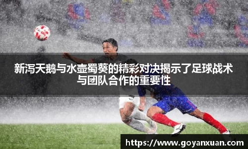 新泻天鹅与水壶蜀葵的精彩对决揭示了足球战术与团队合作的重要性
