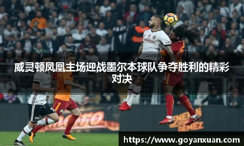 威灵顿凤凰主场迎战墨尔本球队争夺胜利的精彩对决