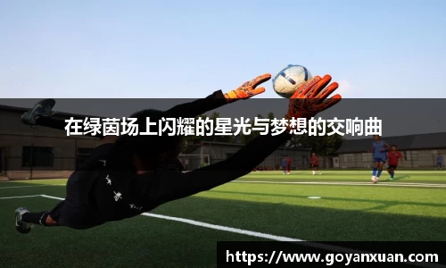 在绿茵场上闪耀的星光与梦想的交响曲